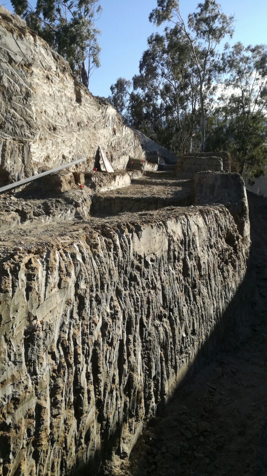 Talud monumental con tres bancos perfectamente formados durante el rebaje en Tíjola